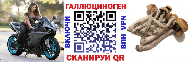 Галлюциногенные грибы прущие грибы  хочу   Мензелинск 